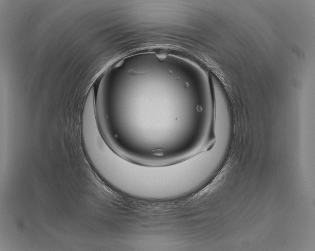 X0000112171369200908211417