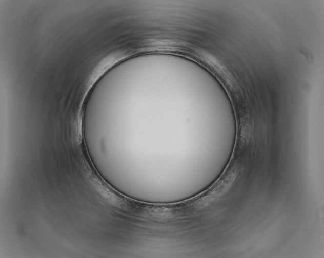 X0000112171370200908211417