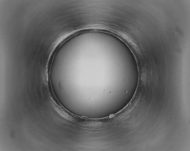 X0000112171372200908211417