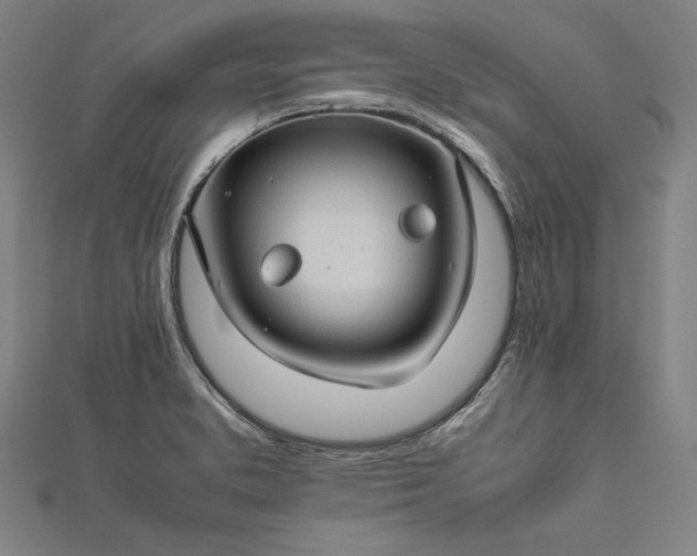 X0000112171373200908211417