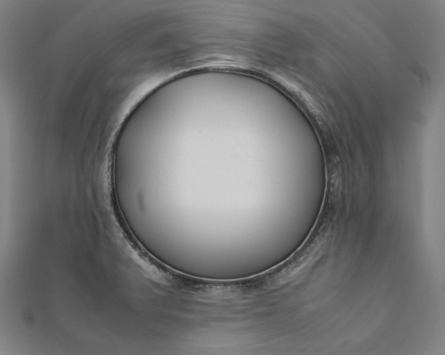 X0000112171375200908211417