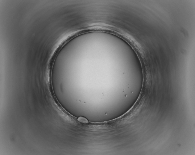 X0000112171376200908211417