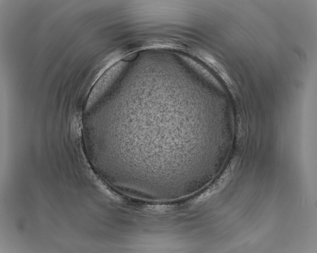 X0000112171377200908211417