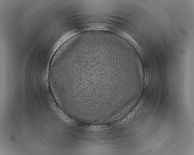 X0000112171378200908211417