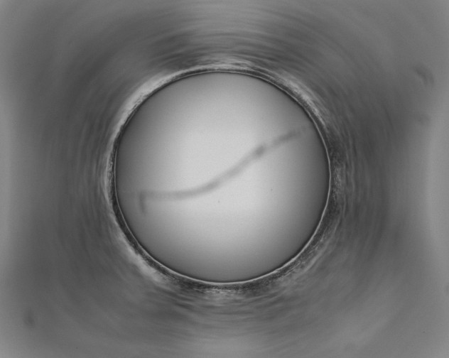 X0000112171379200908211417