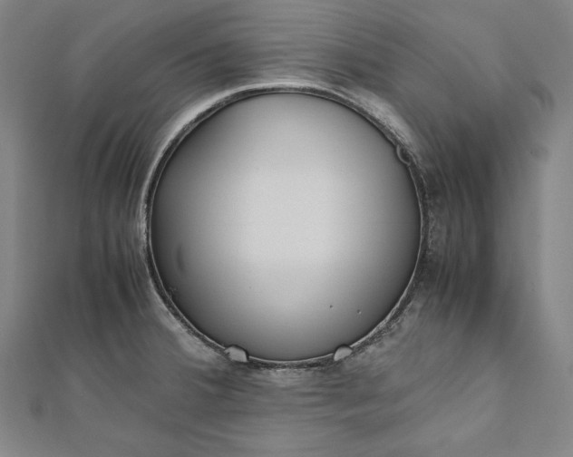 X0000112171380200908211416