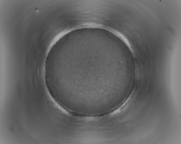 X0000112171381200908211416