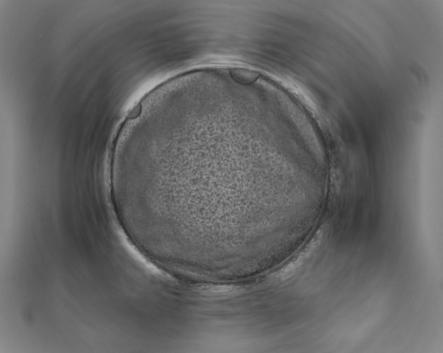 X0000112171382200908211416