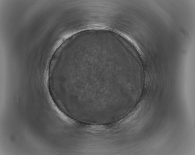 X0000112171383200908211416