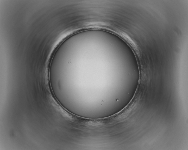 X0000112171384200908211416