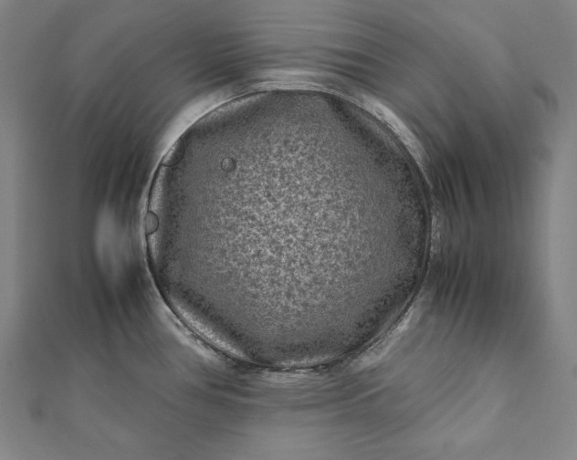 X0000112171386200908211416