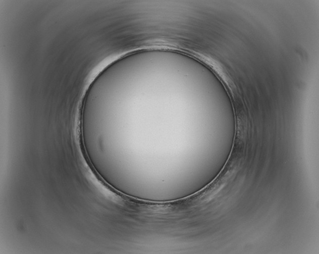 X0000112171387200908211416