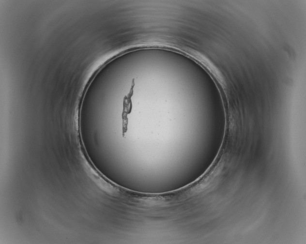 X0000112171388200908211416