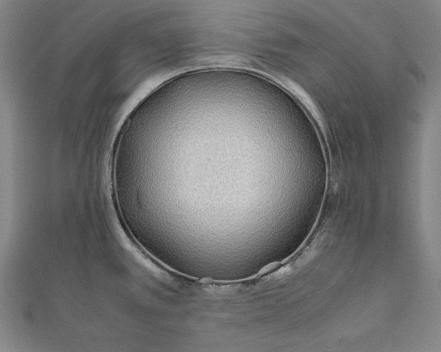 X0000112171389200908211416