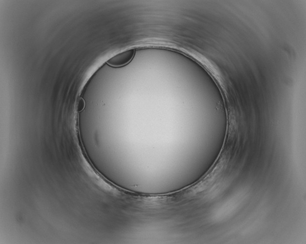 X0000112171390200908211416