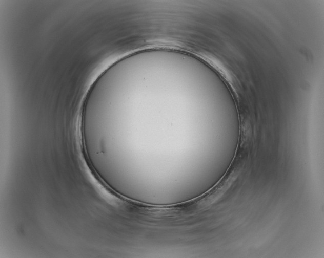 X0000112171391200908211416