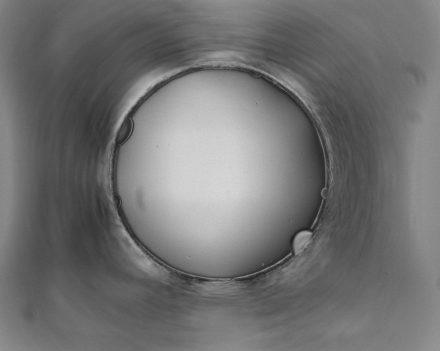 X0000112171392200908211416