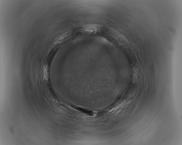 X0000112171394200908211416