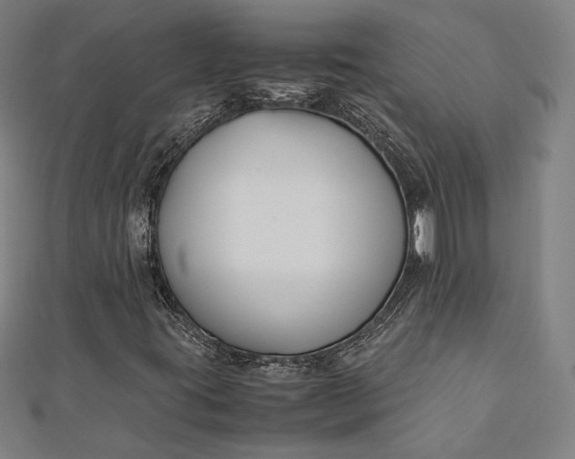 X0000112171395200908211416