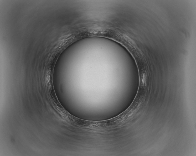 X0000112171396200908211416