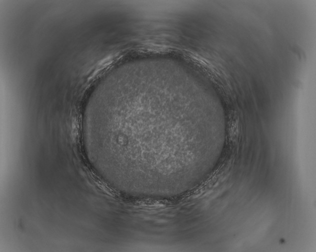 X0000112171397200908211416