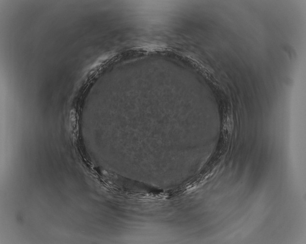 X0000112171398200908211416