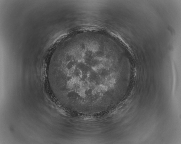 X0000112171399200908211416