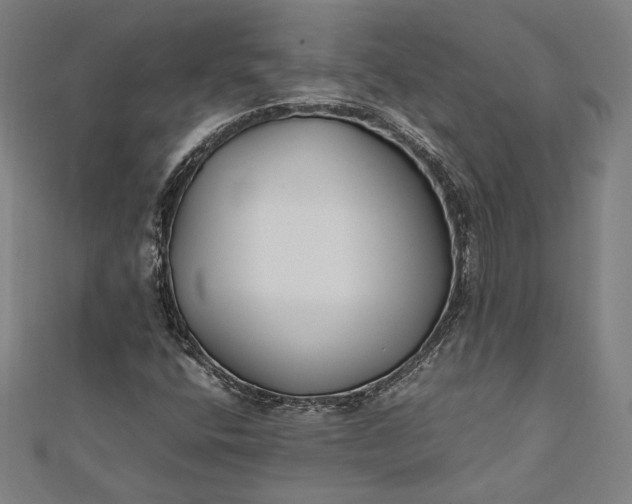 X0000112171400200908211416