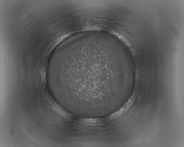 X0000112171401200908211416