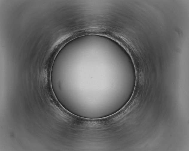 X0000112171402200908211416