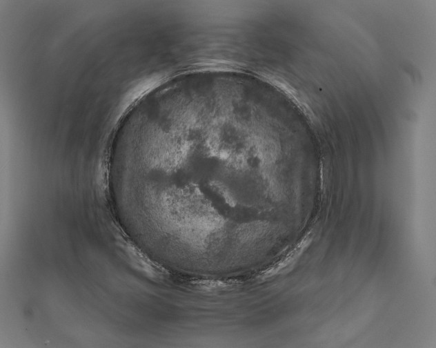 X0000112171405200908211416