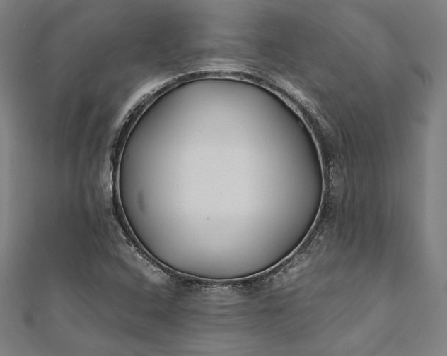 X0000112171408200908211416