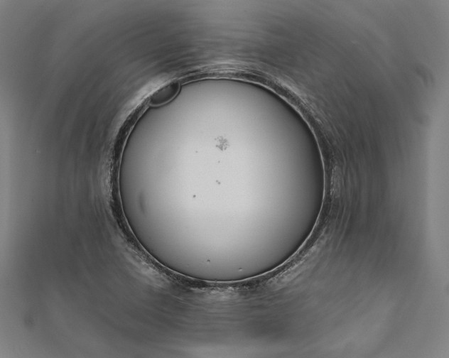 X0000112171410200908211416