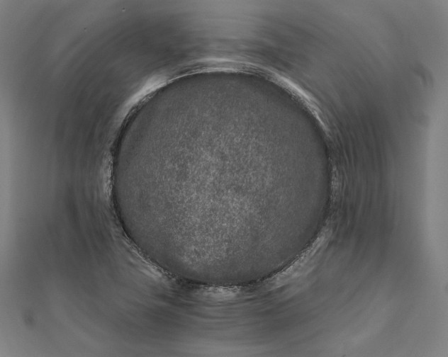 X0000112171411200908211416