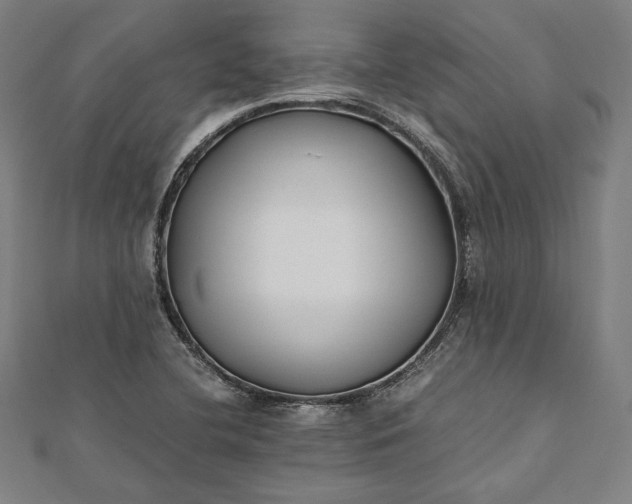 X0000112171412200908211416