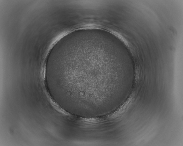 X0000112171413200908211416