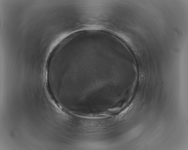 X0000112171414200908211416