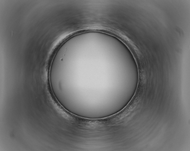 X0000112171416200908211416