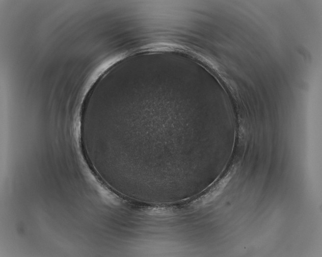 X0000112171418200908211416