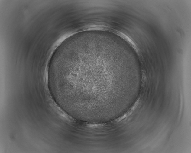 X0000112171419200908211416