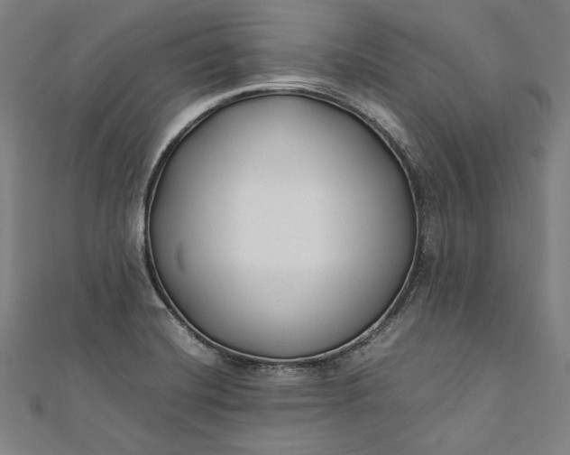 X0000112171420200908211416