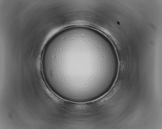 X0000112171421200908211416