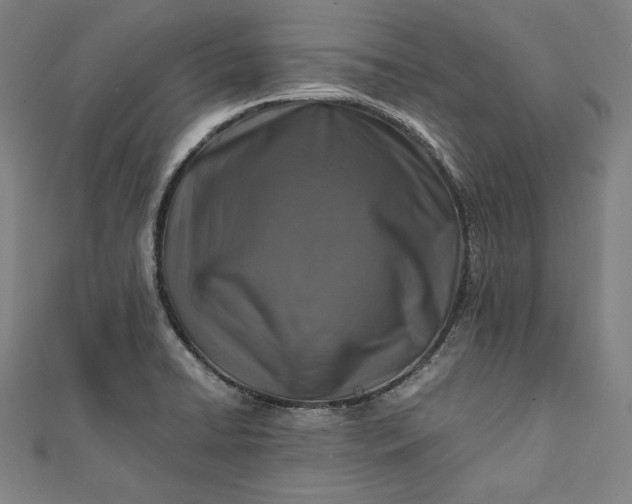 X0000112171422200908211416