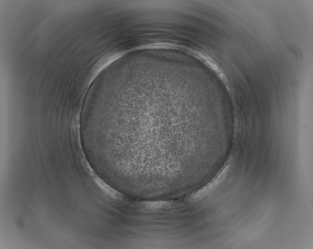 X0000112171425200908211416