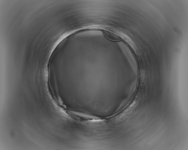 X0000112171428200908211416