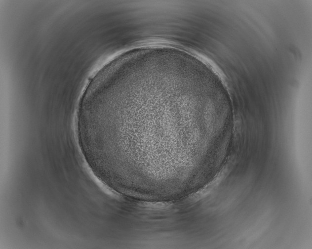 X0000112171429200908211416