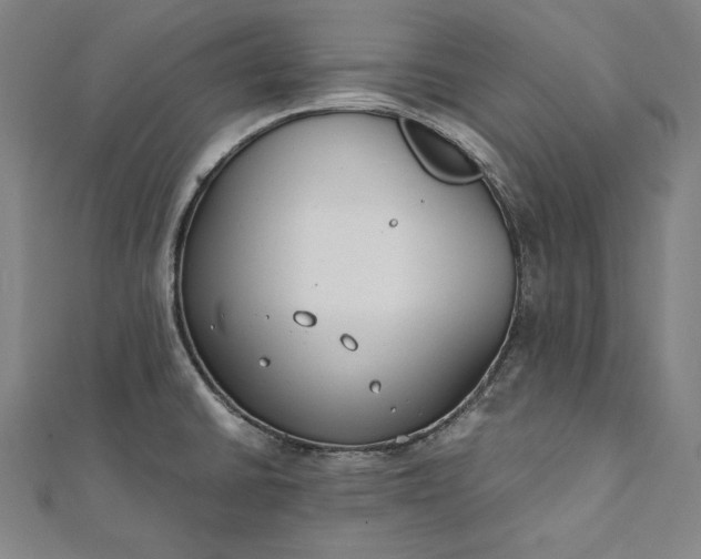 X0000112171430200908211416