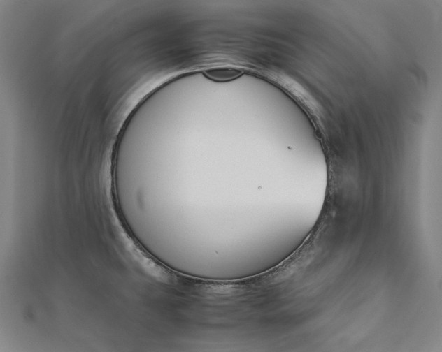 X0000112171431200908211416