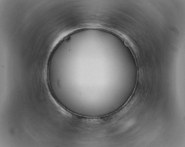 X0000112171432200908211416