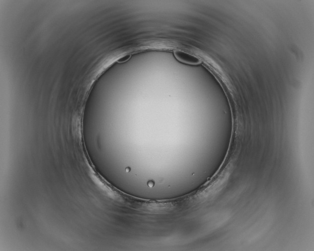 X0000112171433200908211416